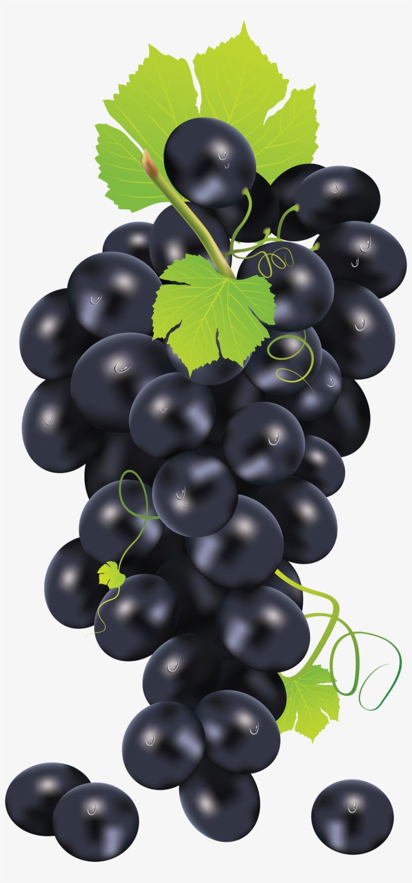 Black Grape Png Image - Grape Vector, transparent png