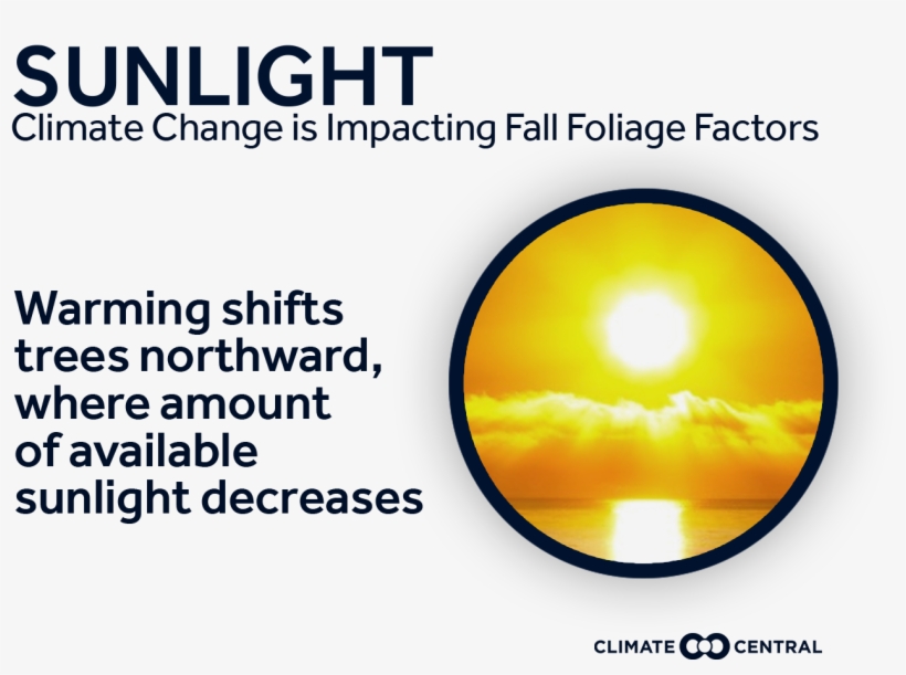 Jpg • Png - Circle, transparent png