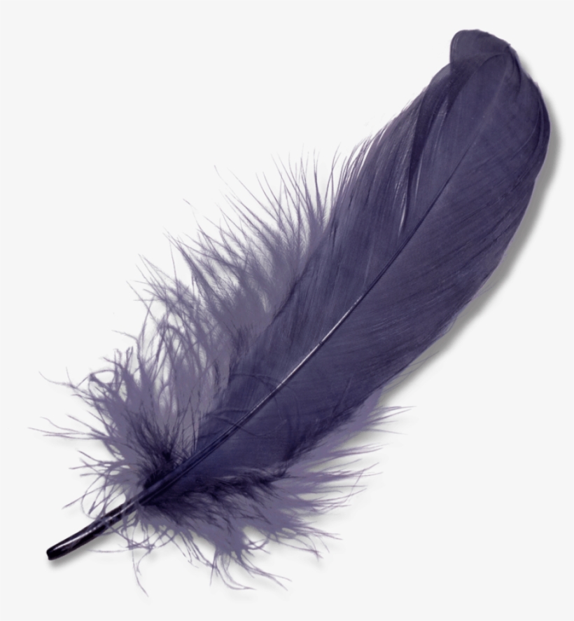 Nature - Feathers - Feather Png, transparent png