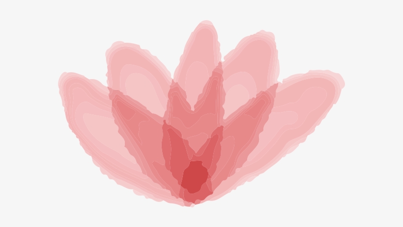Admissions, transparent png
