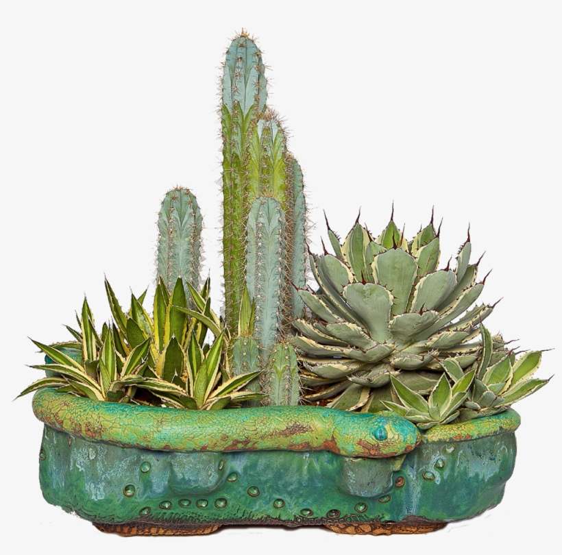Cactus Png - Cactus Planters Png, transparent png