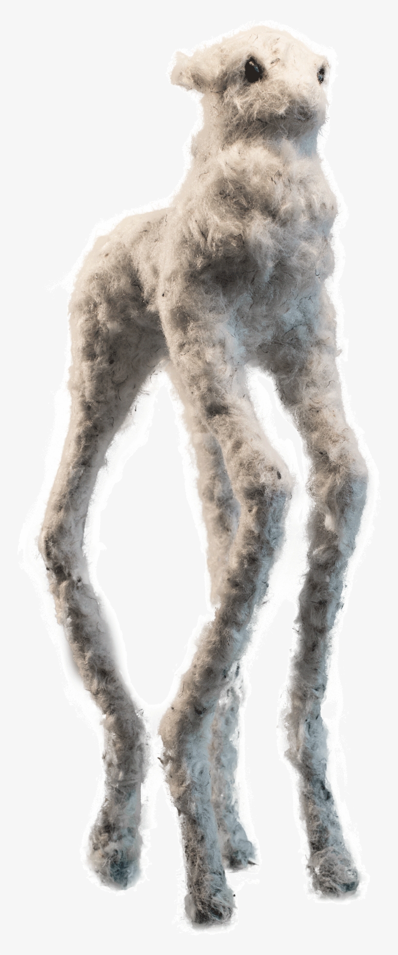 Questions Concerns Free Unsolicited Advice Drop Me - Figure Drawing, transparent png