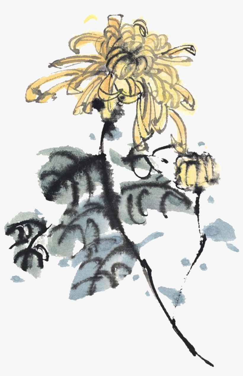 Glamour Light Yellow Hand-painted Chrysanthemum Decorative - Ink Wash Painting, transparent png