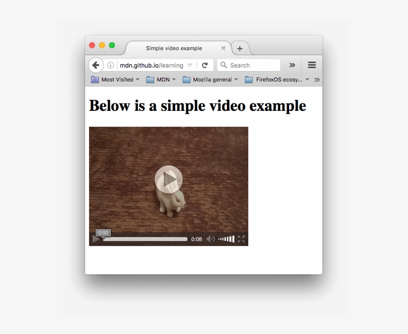A Simple Video Player Showing A Video Of A Small White - Video, transparent png