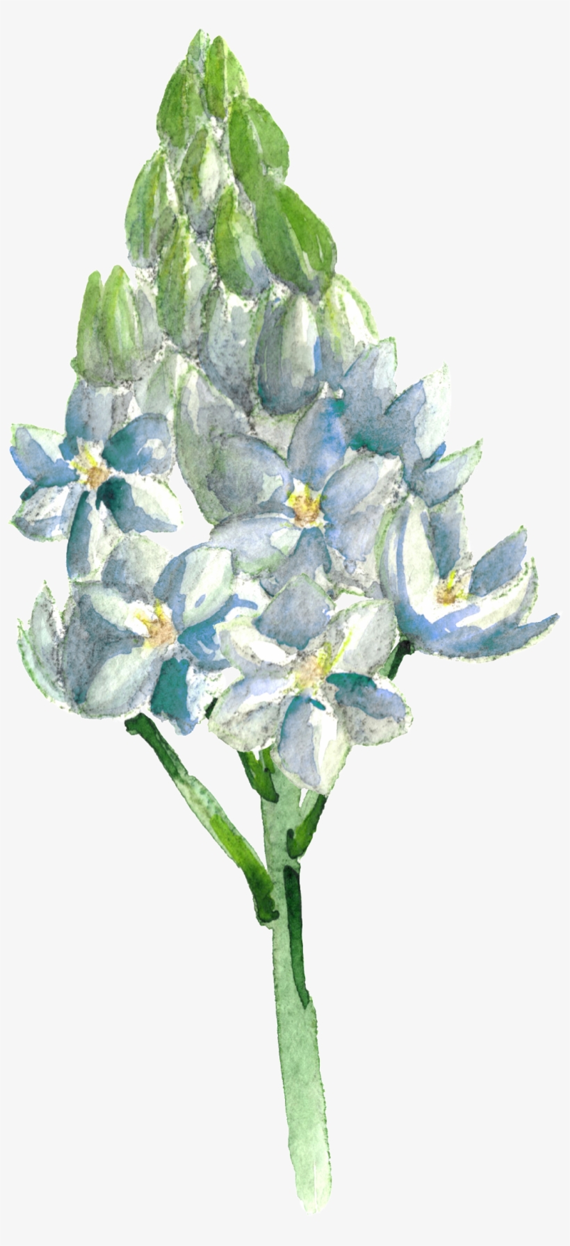 This Graphics Is Hand Painted Blue Flowers Transparent - Portable Network Graphics, transparent png