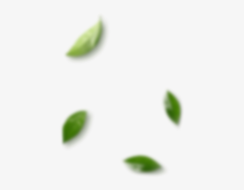 Leaves - Cosmetics, transparent png