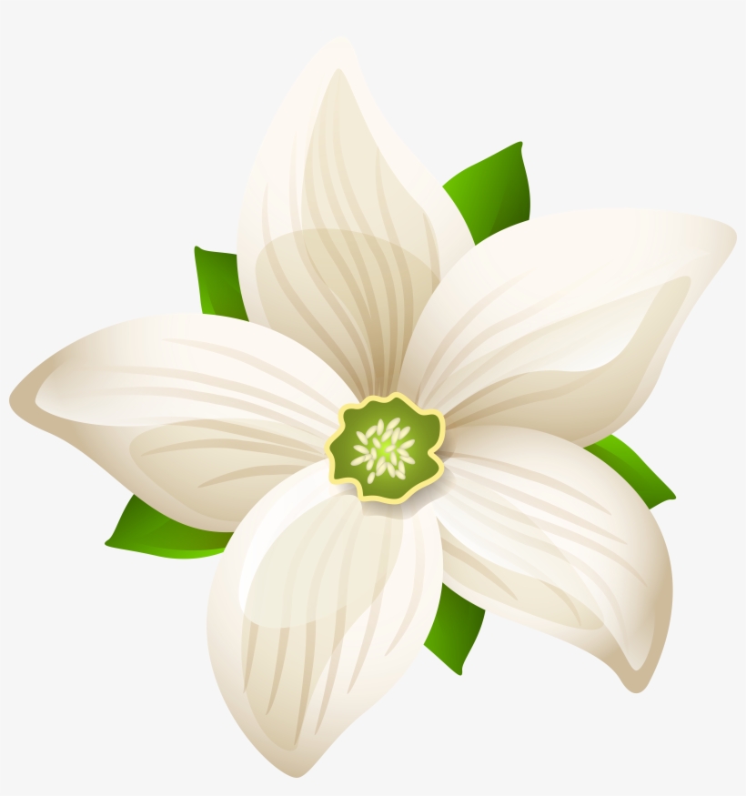 Large White Flower Transparent Png Clip Art Image, transparent png