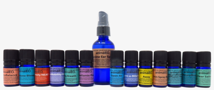 Essential Oil Blends By Animaleo - Essential Oil, transparent png