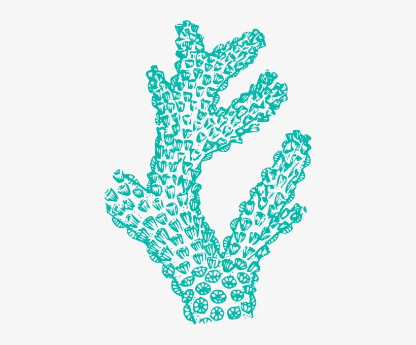 How To Set Use Teal Coral Clipart, transparent png