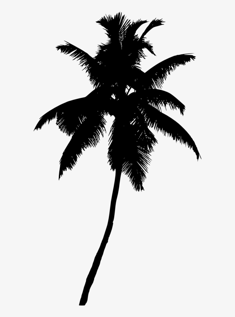 Free Png Palm Tree Silhouette Png Images Transparent - Palma De Cera Vector, transparent png