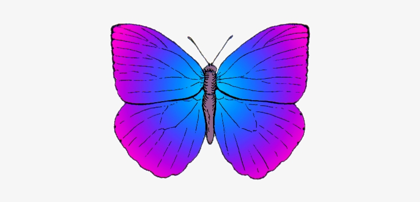 Butterfly Top Psf Artistic License - Cartoon Butterflies, transparent png