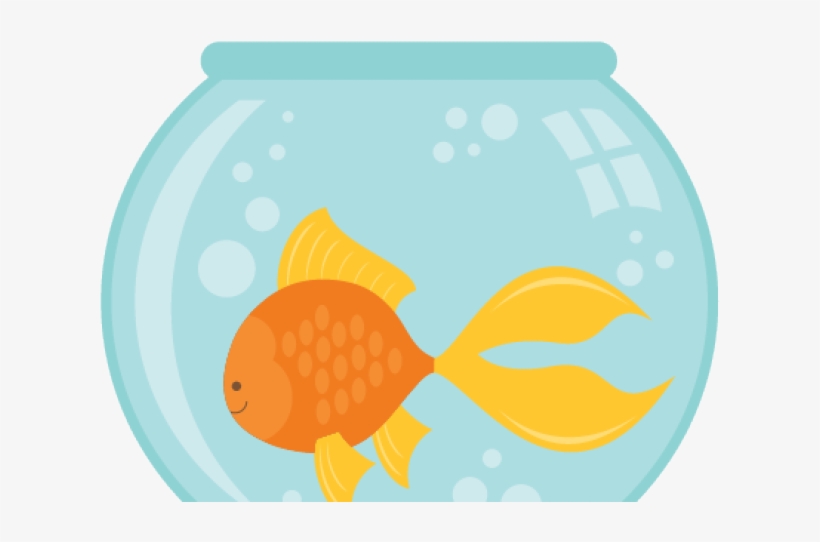Aquarium, transparent png