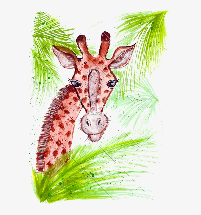 Hand Drawing A Watercolor Of A Giraffe - Drawing, transparent png