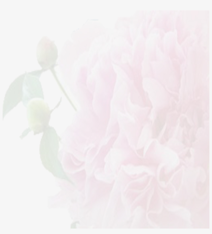 Funeral Flower Background, transparent png