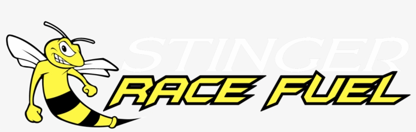 Car Racing Racing Logo Png, transparent png