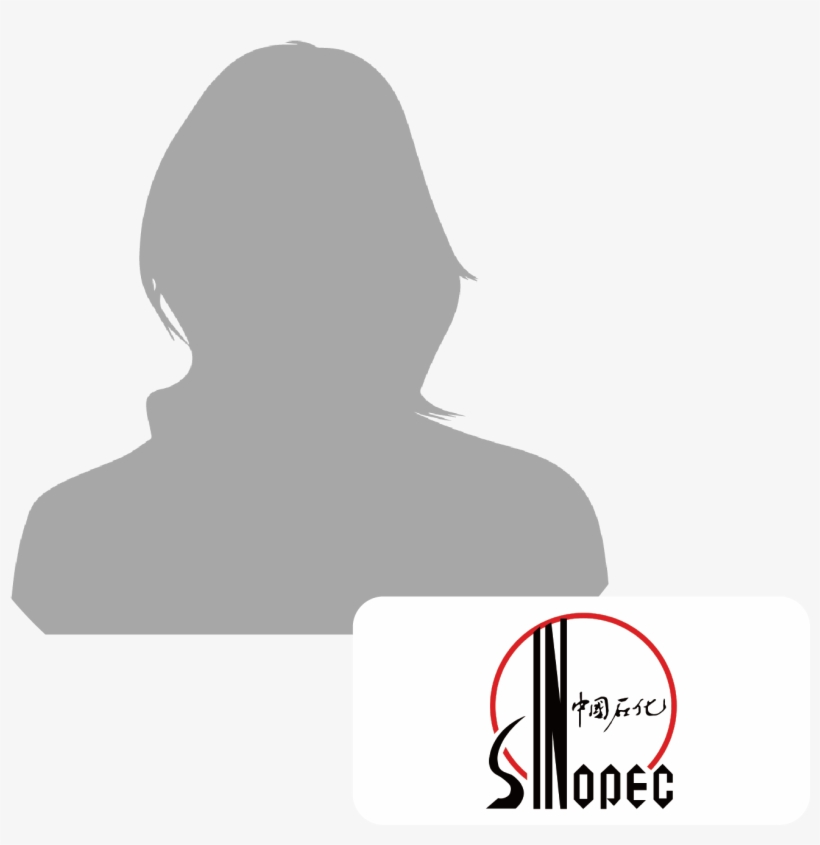 Sun Lili China Smart Manufacturing Oil Gas Petrochemical - Photography, transparent png