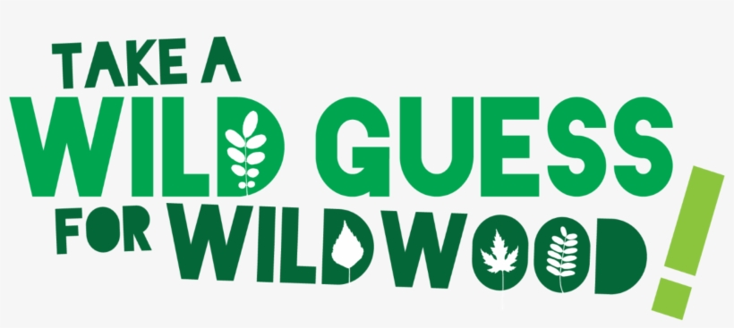 Tawg Logo - Graphic Design, transparent png