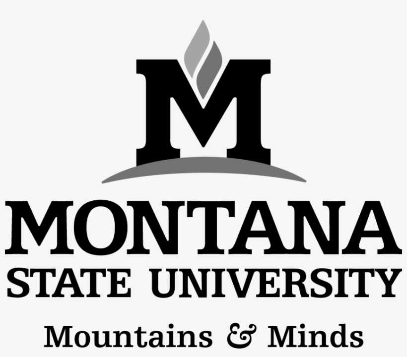 Core Logo With Mountains & Minds Tagline - Montana State University Logo .png, transparent png