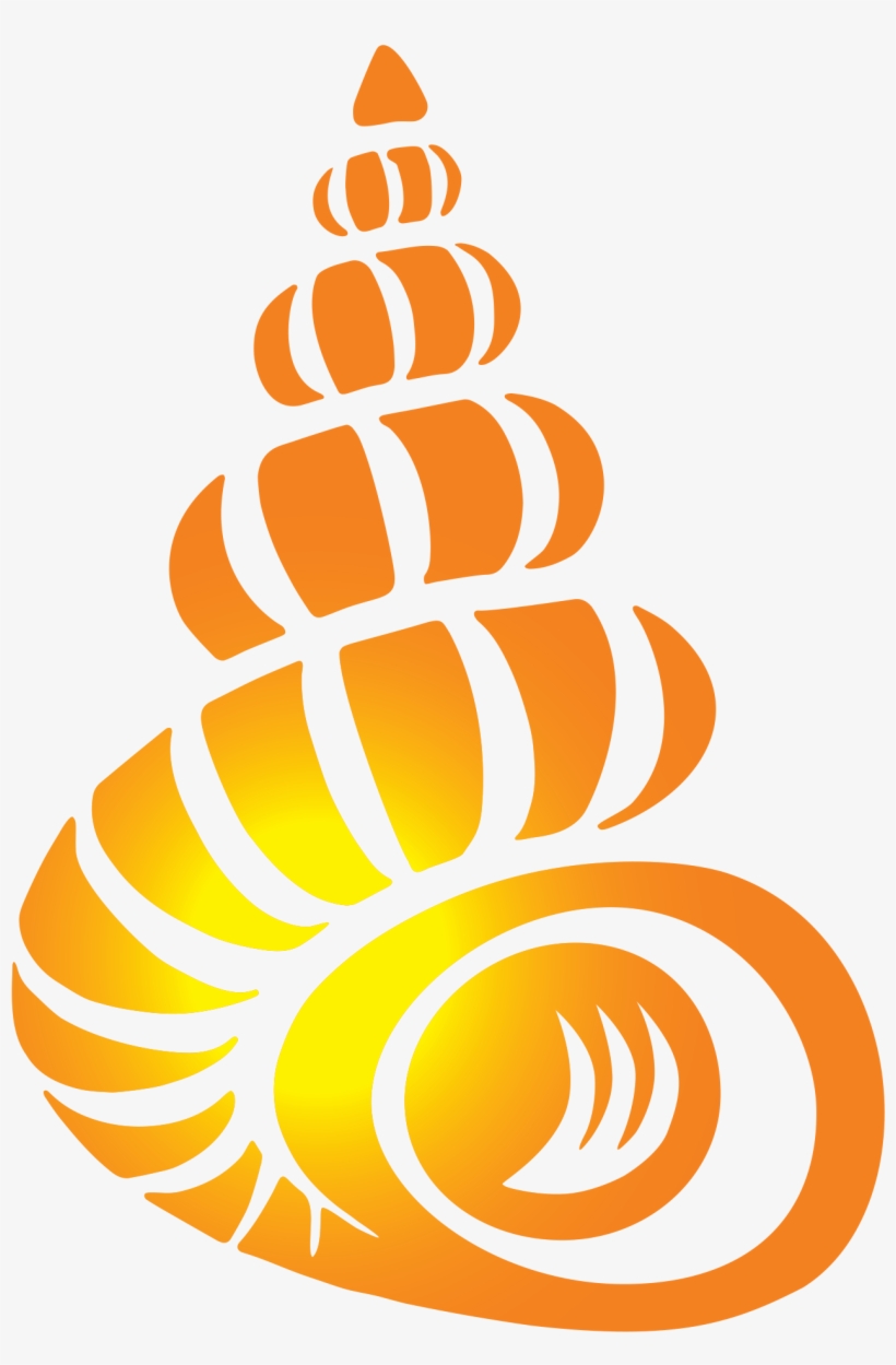 Bailey Matthews National Shell Museum - Bailey Matthews National Shell Museum Sanibel, transparent png