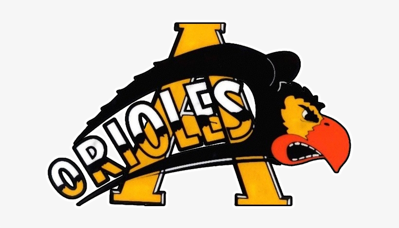 Home Of The Orioles - Avon Orioles, transparent png