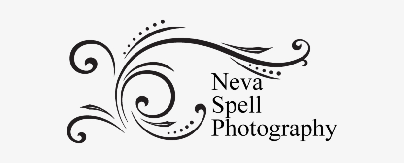 My - Nichols Photography, transparent png