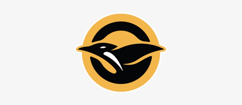 Chorus - Penguins Pittsburgh Gold Logo, transparent png
