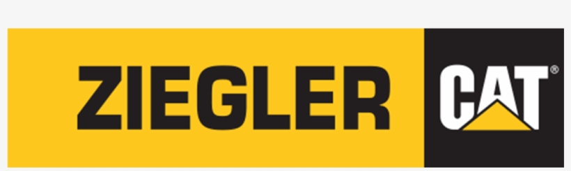 American Arctic Cat - Holt Cat, transparent png