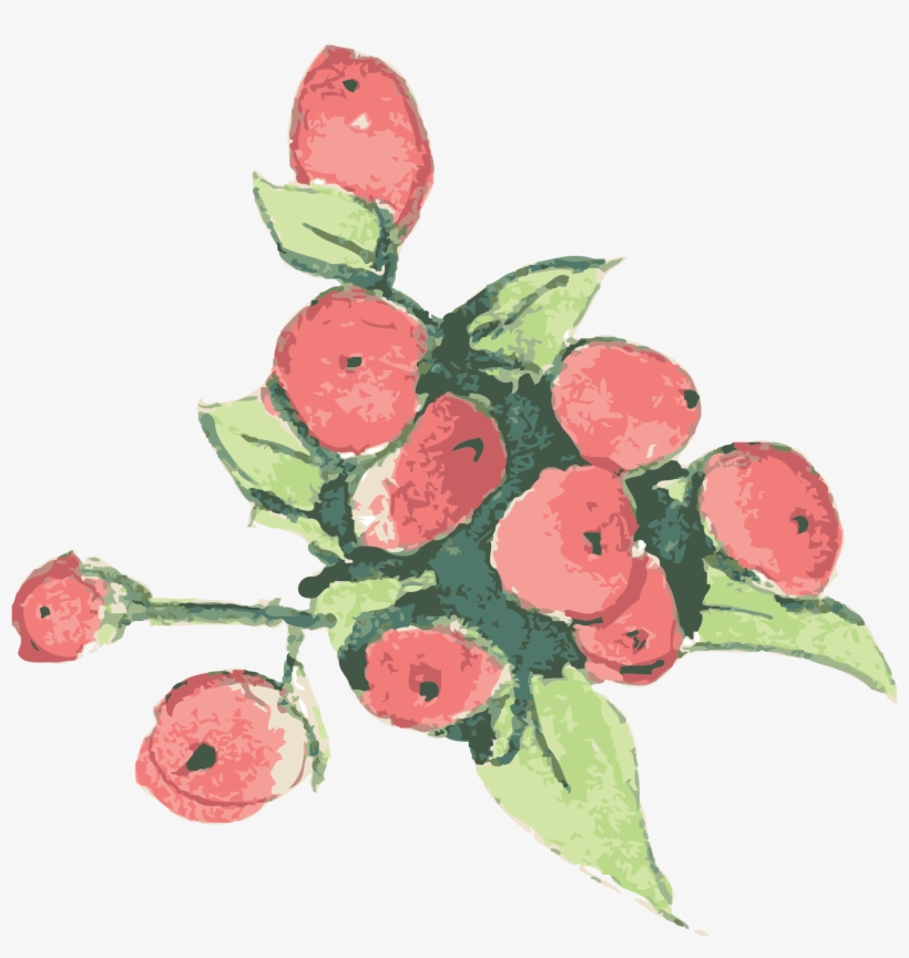 Pin By Nadia On Illustrations - Garden Roses, transparent png