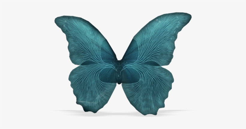 Hnhs6lives - Until Dawn Transparent, transparent png