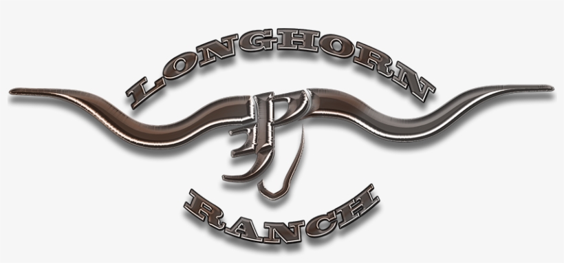 About Us - Calligraphy, transparent png