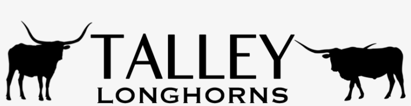 Home - Texas Longhorns Football, transparent png