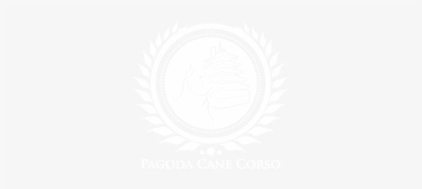 Promotion Background, transparent png