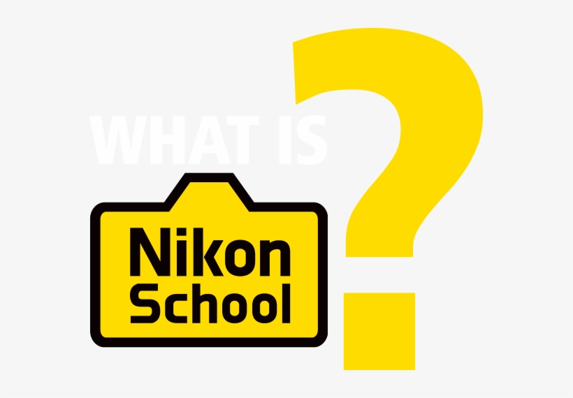 From The Minute You Hold Your New Nikon Dslr In Your - Nikon School, transparent png