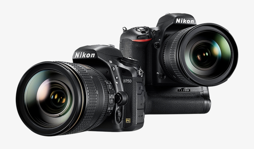 Nikon Logo Png Download - Nikon D750 Png, transparent png