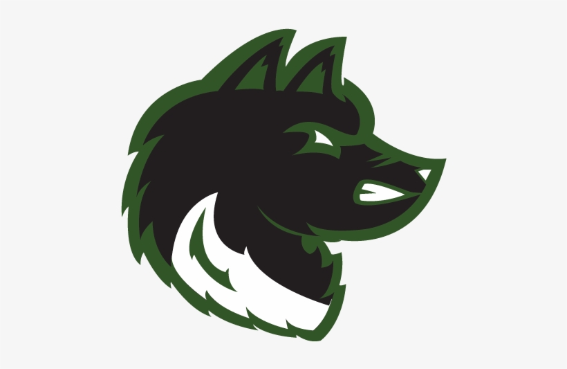 2dmi4pl - Wolf, transparent png