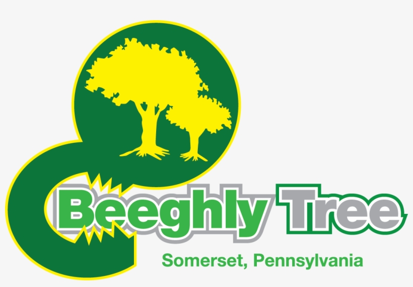 Beeghly Tree Service - Beeghly Tree Service Llc, transparent png