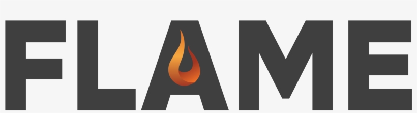 Flame Logo - Planet Programm, transparent png