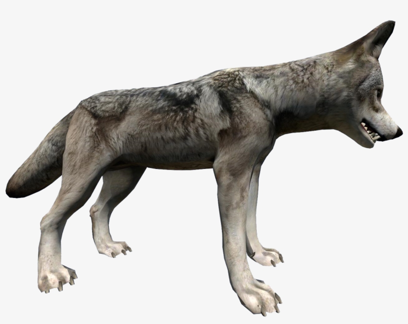 Wolf Side - Wolf, transparent png