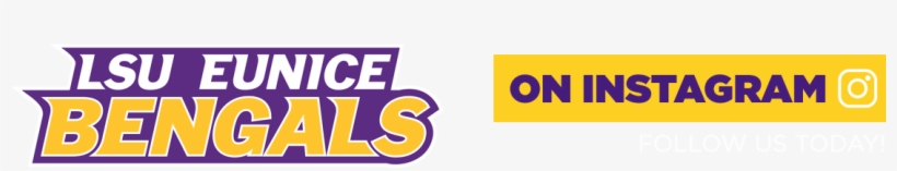 Lsue Promo 3 Instagram - Instagram, transparent png