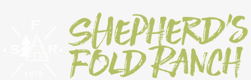 Calligraphy, transparent png
