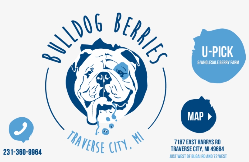 Bulldog Berries U-pick Blueberries Saskatoon Traverse - Berry Farm Logo, transparent png