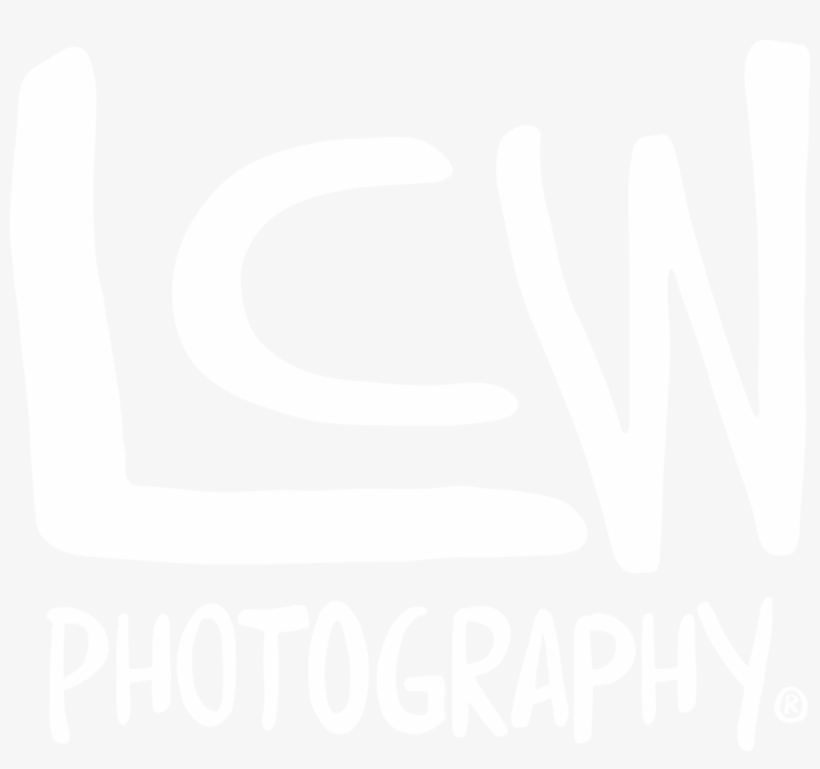 Lcw Photography Logos - Photography: The Beginners Crash Course In Dslr Photography, transparent png