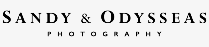 Creative Director & Content Designer - Parallel, transparent png