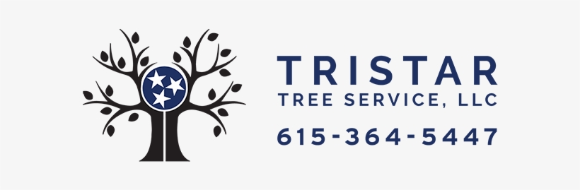 Contact Us Today - Tennessee, transparent png