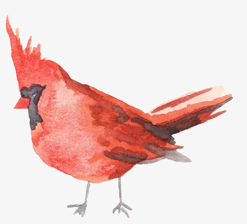 Illustration, transparent png