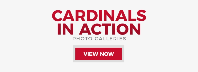 Ian Somerhalder Foundation Logo, transparent png