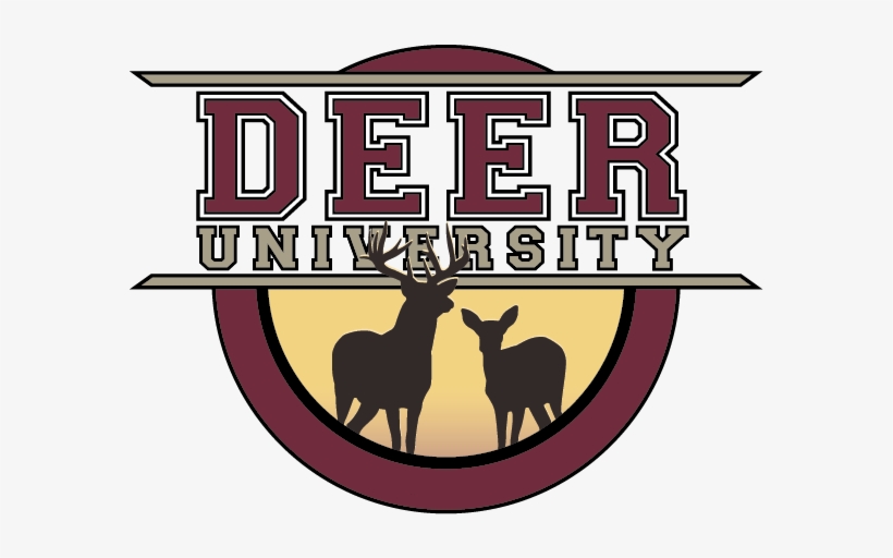 Msu Deer Podcast - Deer University, transparent png