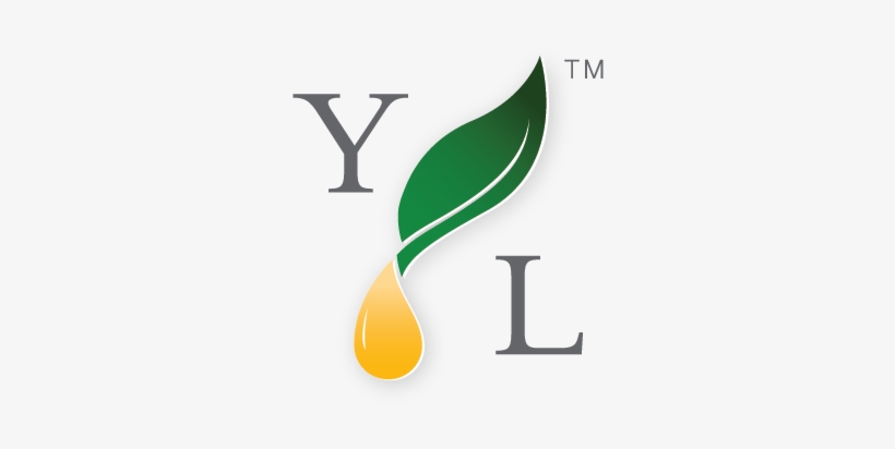 New Types Of Members At Young Living - Young Living, transparent png