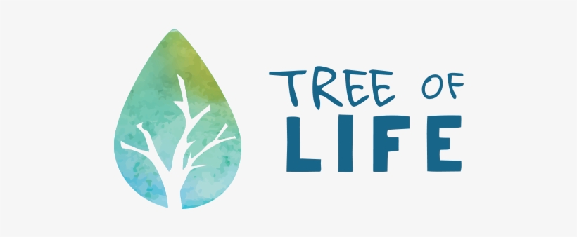 Explore Tree Of Life, A Tree And More - Portable Network Graphics, transparent png