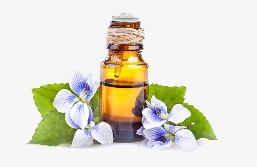 Sign Up Now - Aceites Esenciales Do Terra, transparent png